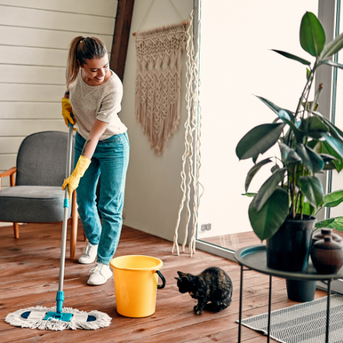 cleaning image